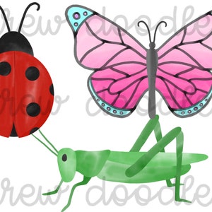 Insetti acquerellati - Farfalla, Cavalletta, Coccinella - Set di clipart digitali - Download immediato