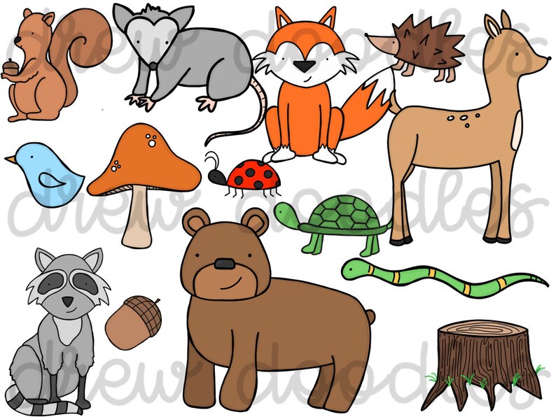 Instant Download Forest Animals Digital Clip Art Set