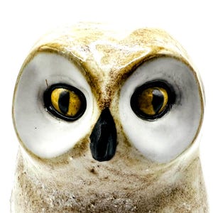 May include: Close-up of a ceramic owl figurine. The owl has large, round eyes with yellow irises and black pupils. The feathers are a mix of beige and brown, with white accents around the eyes. The beak is black.
