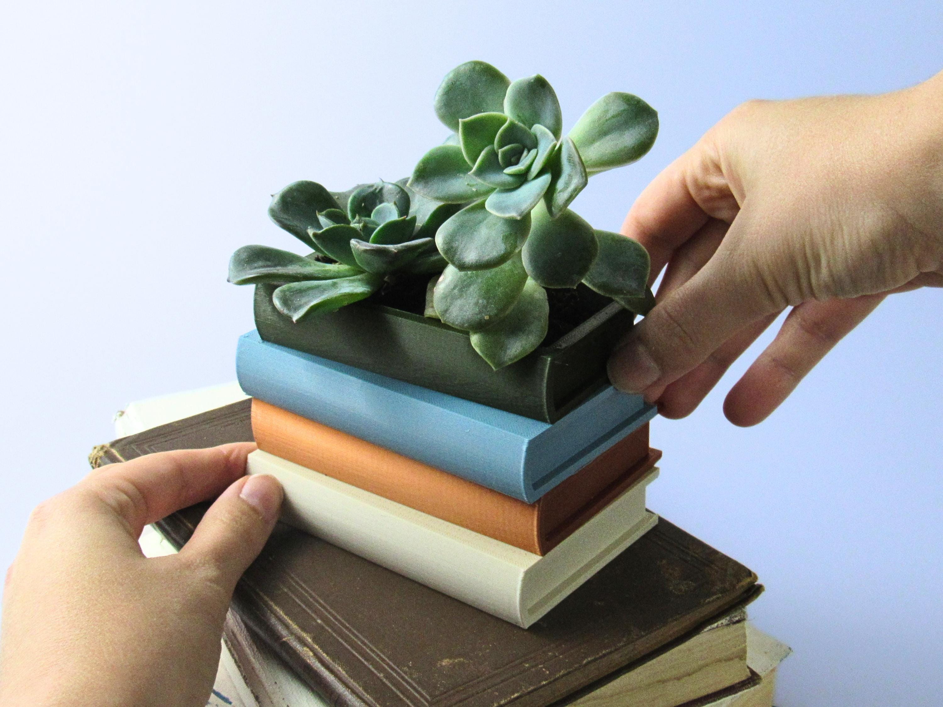 circular plants Ball Cactuses With Pot Free Shipping