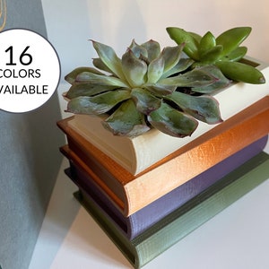 Pot de plante succulente multicolore avec une pile de livres Cadeau succulent Jardinière de livre imprimée en 3D Jardinière unique Cadeau pour professeur Cadeau de bibliothécaire image 1