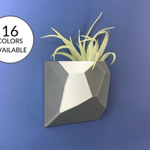 May include: A grey geometric wall planter with a small air plant inside. The planter is made of 3D printed plastic and has a modern, minimalist design. 16 colours available.