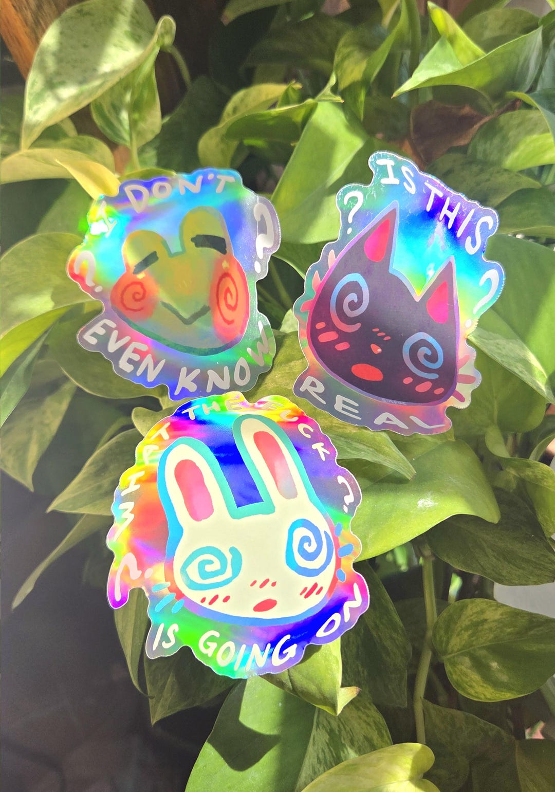 Confused Critters - Holographic 3" Stickers - Etsy