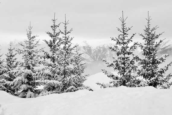 Winterwald Photo Winter Zum Ausdrucken Winterlandschaft Etsy