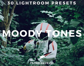 30 Moody Lightroom Presets Bundle