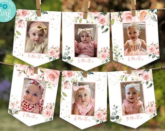 May include: A pink and green floral baby photo banner with 6 flags. Each flag has a white background with a photo frame and a number of months. The flags are labeled 4 months, 5 months, 6 months, 7 months, 8 months, and 9 months.
