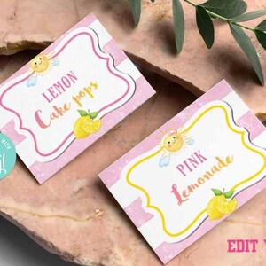Sunshine Lemonade Party Food Tenten-Corjl-limonade verjaardag eten decoratie-roze limonadestandaard-eerste verjaardag-AnyAge-Babyshower-A160