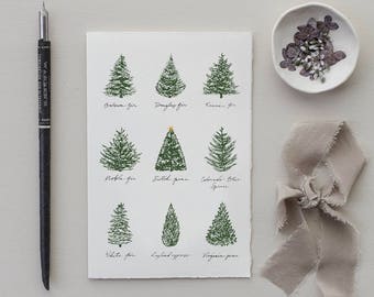 christmas tree medley modern christmas card set of 8 holiday cards blank christmas card holiday stationery christmas tree card set - Modern Christmas Cards christmas tree medley modern christmas card set of 8 holiday cards blank christmas card holiday stationery christmas tree card set - Modern Christmas Cards