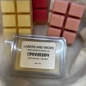 Clam Shell Wax Melt - Cinnaberry