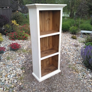 Primitive Bookcase / Jelly Cupboard