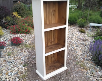Primitive Bookcase / Jelly Cupboard