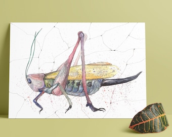 Grasshopper 2 original Watercolor Painting, Locust poster, bug collection, beetle Home Decor, insect art, bug lover, nature poster, wall art