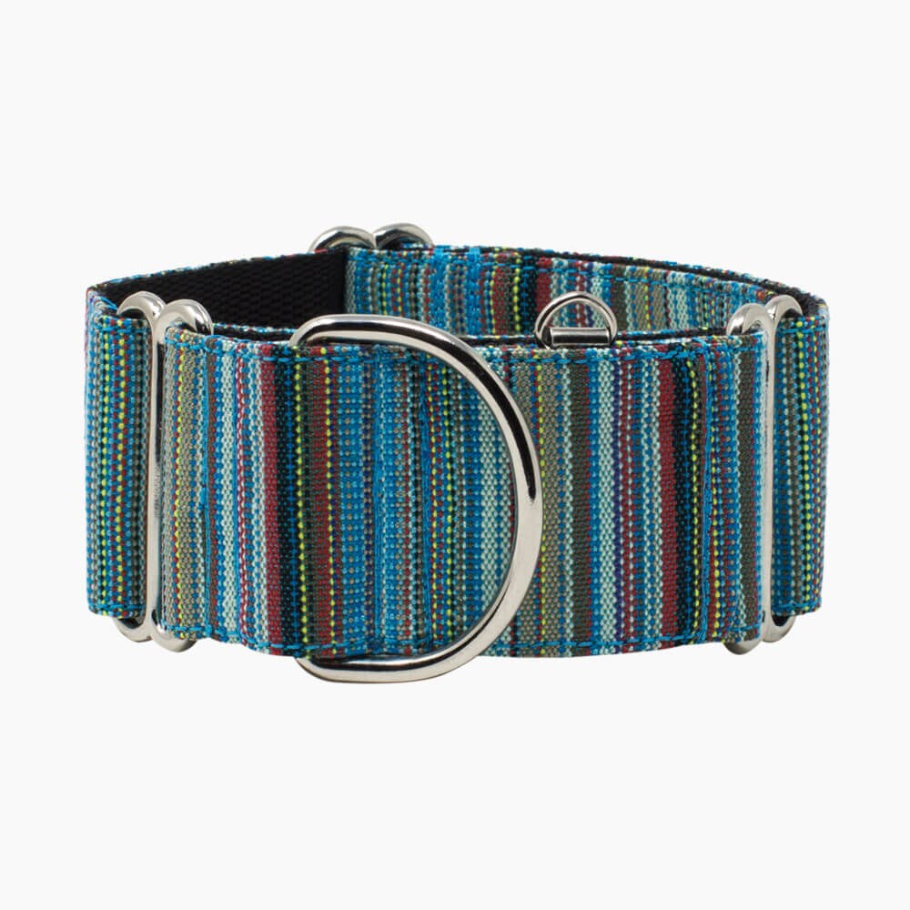 aztec dog collar uk