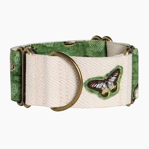 Martingale greyhound cotton collar optional leash butterflies green Monarch buckle dog cotton collar Handmade AdoraBarcelona butterflies