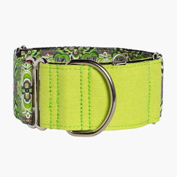 Martingale Greyhound Collar and Optional Leash BARU Acid Green