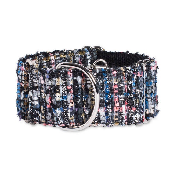 collar and leash pet store