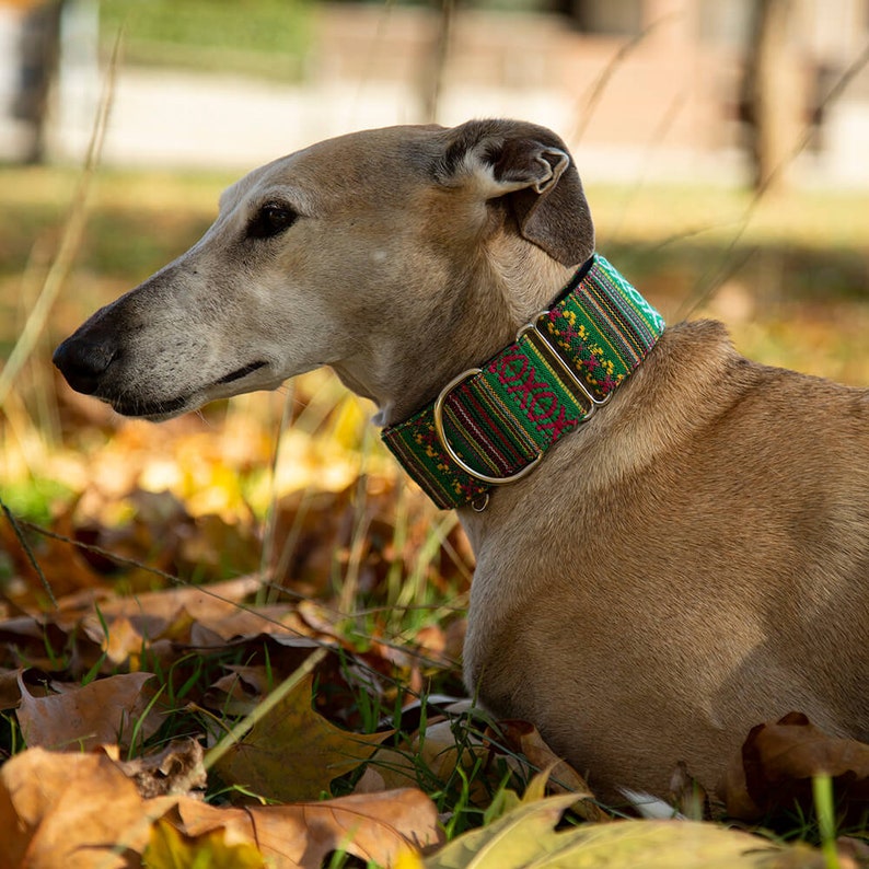 Green Aztec Dog Collar and Optional Leash Muzenkab Model Etsy New Zealand
