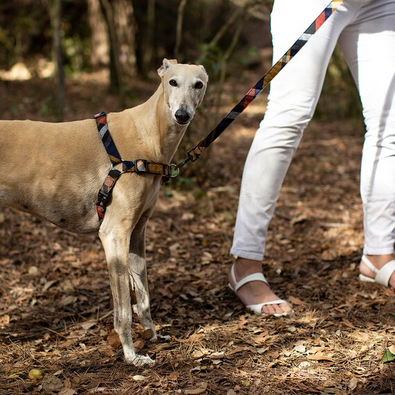 Harnais anti-traction pour chien Système Norvégien carrés