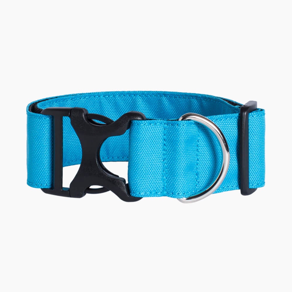 sportdog quick release collar