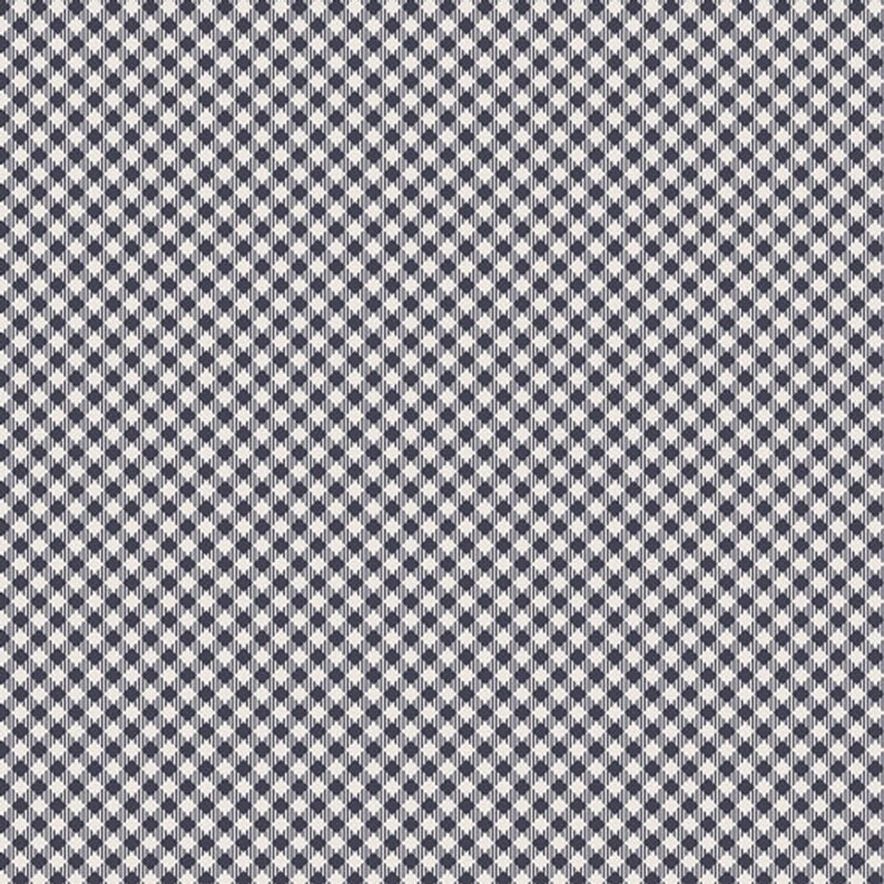 AGF Fabric Petits Checks Midnight from Les Petits designed by Ami Sinibaldi LEP-912.