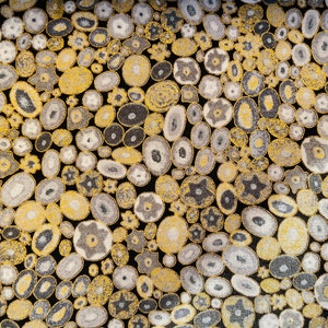 Gustav Klimt - Grey - Gold - Robert Kaufman - Quilting Cotton Fabric - SRKM-17183-12
