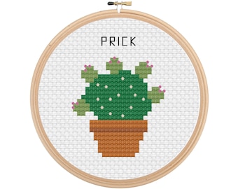 BEGINNER - Succulent - Cross Stitch Pattern - INSTANT DOWNLOAD
