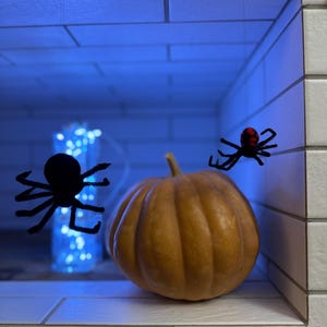 Set felted spiders Needle felted spider Halloween decor Halloween Gift HALLOWEEN SPIDER Black spider