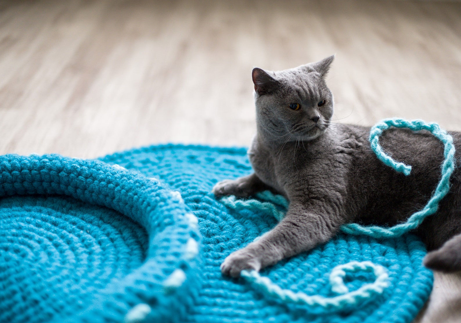 Crochet Cat Mat Chunky Wool Cat Mat Cute Cat Bed Ocean Etsy