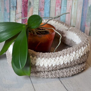 May include: A brown and white crocheted plant hanger with a green orchid plant inside.
