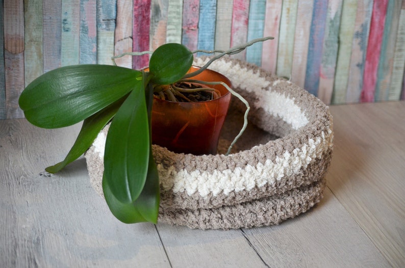 May include: A brown and white crocheted plant hanger with a green orchid plant inside.