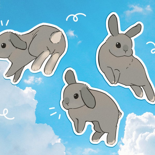 Binky Bunny Sticker Pack of 3, Waterproof Glossy Vinyl Sticker, Lop Rabbit