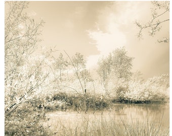 Solstice, The Marsh, duotone photography, elegant interiors, sepia,nature photography