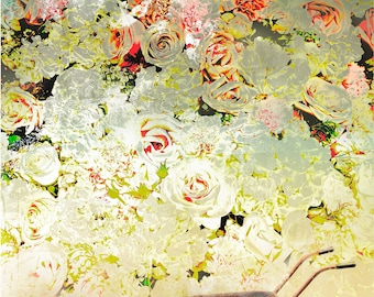The Rose Bower, wheelbarrow and roses, fine art print,