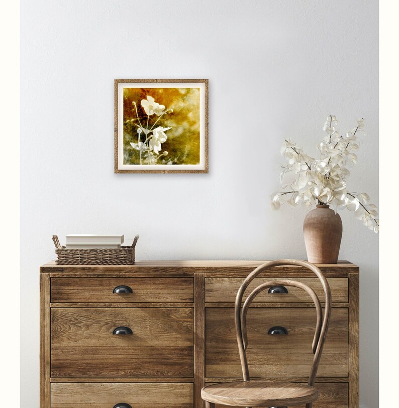 The Amber Hour Anemone in Afternoon light Fine Art Print image 4