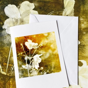 Of The Afternoon Floral Art Fine Art Cards Sets of 6 cards Frameable as Mini Prints image 5