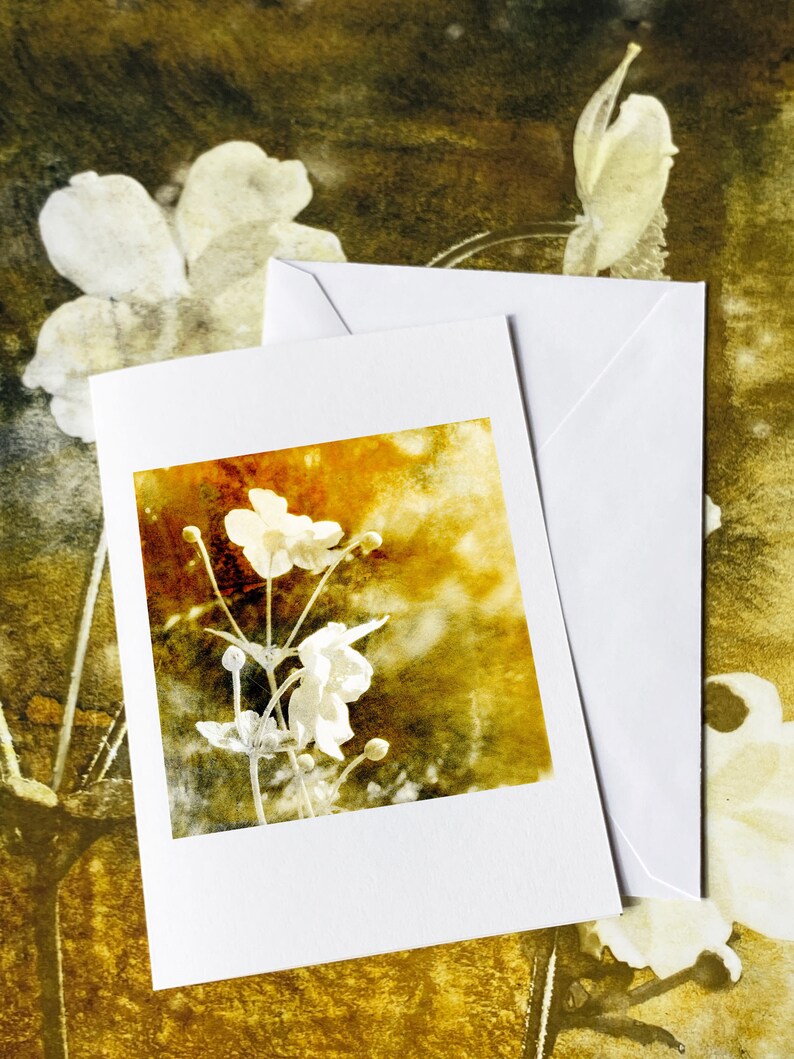 Of The Afternoon Floral Art Fine Art Cards Sets of 6 cards Frameable as Mini Prints image 5