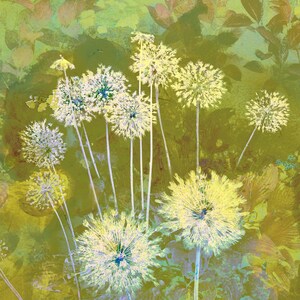 The Bright Day Contemporary Botanical Print of Alliums in greens image 2