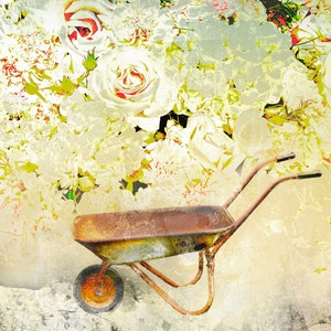 The Rose Bower, wheelbarrow and roses, fine art print, image 2