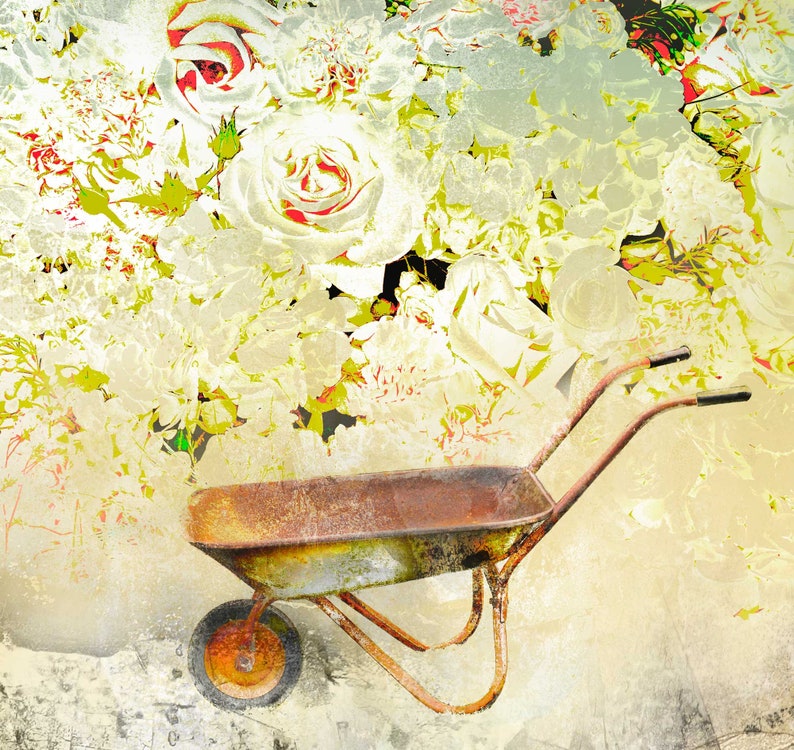 The Rose Bower, wheelbarrow and roses, fine art print, image 2