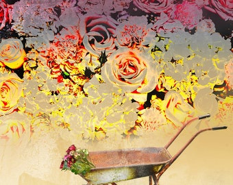 The Red Rose Bower, wheelbarrow and roses, fine art print,