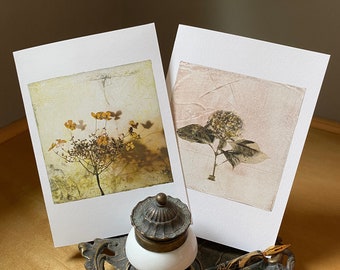 Autumn Hydrangea Botanical Cards | Sets of 6 cards | Framable as Mini Prints