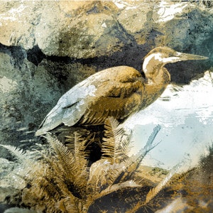 The Heron, Visitation, archival pigment print, bird print