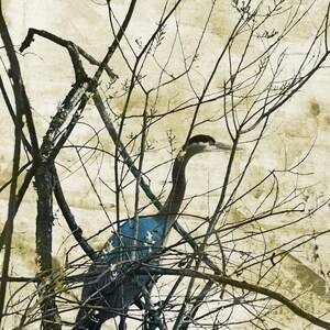 The Heron, Nature print, bird in forest, contemplative art image 4