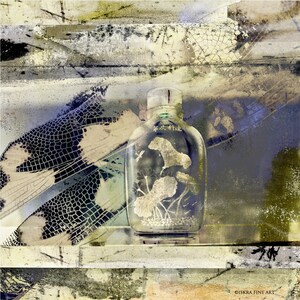 The Dragonfly, Captured (Impermanence Revisited), archival pigment print,