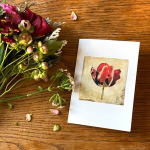 Tulip Valentine Fine Art Cards Sets of 6 cards Frameable as Mini Prints image 1