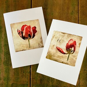 Tulip Valentine Fine Art Cards Sets of 6 cards Frameable as Mini Prints image 3