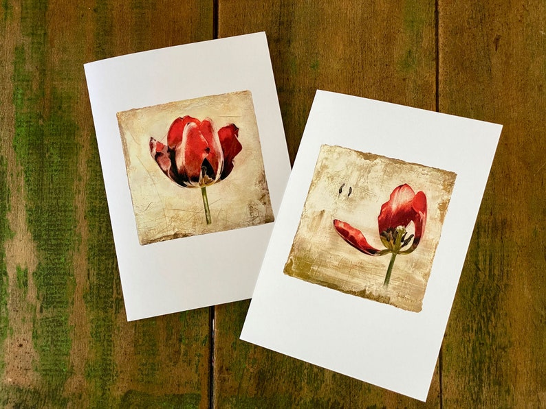 Tulip Valentine Fine Art Cards Sets of 6 cards Frameable as Mini Prints image 3