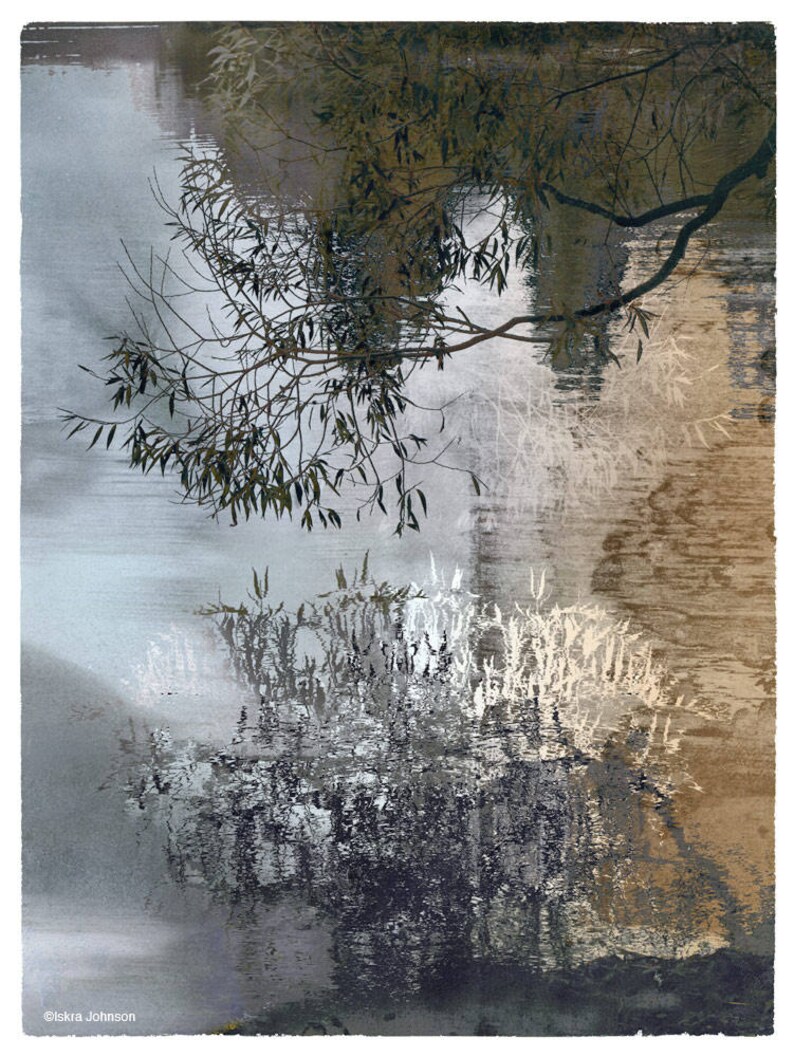 The Willows, limited edition fine art print image 1