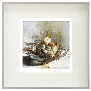 The Nest, limited edition fine art print afbeelding 2