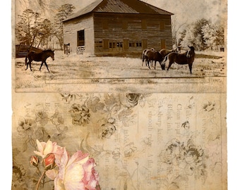 Tennessee Stories, sepia archival pigment print with barn and horses, ephemera, collage,rose, nostalgia